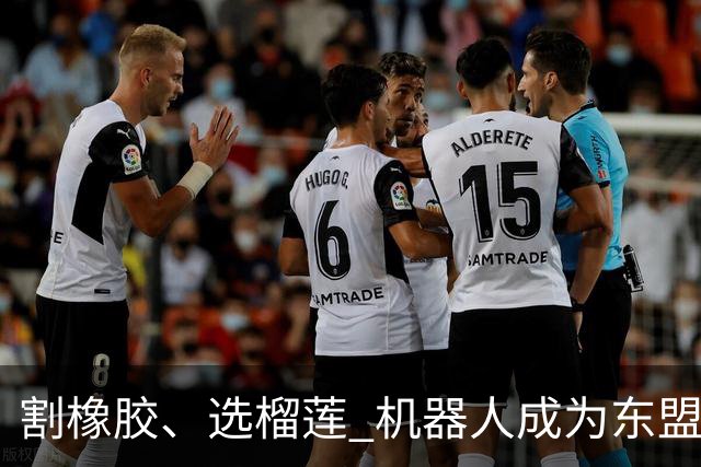 割橡胶、选榴莲 机器人成为东盟市场“新宠” 各国释放明确需求信号